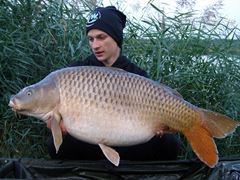 Lacul Moby Dick